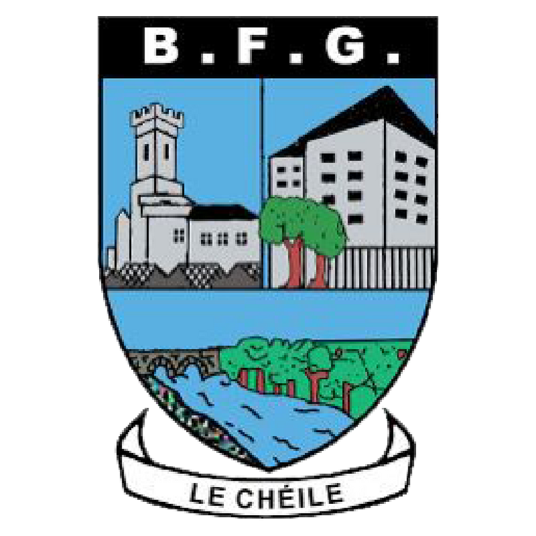 Ballymahon Forgney Gaels