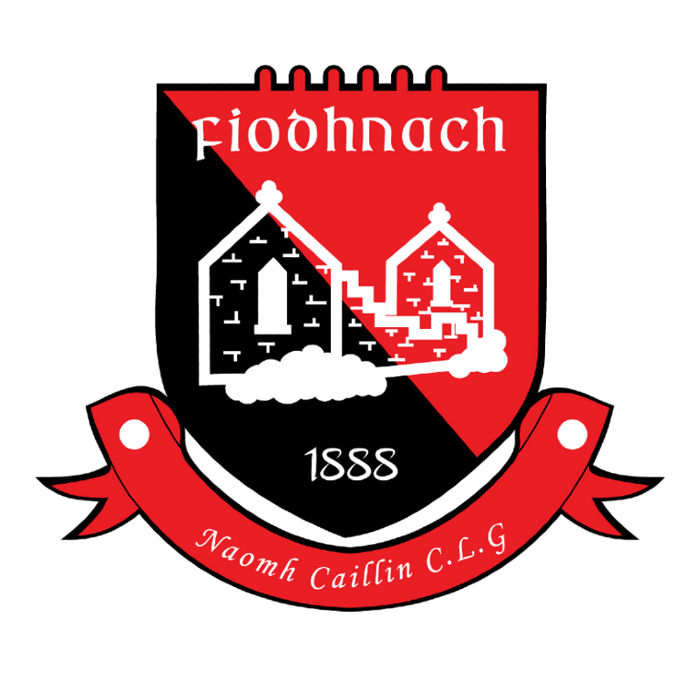 Fenagh St Callins GAA