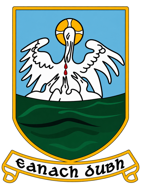 Annaduff GAA & LGFA