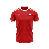 Ballymahon Leo Caseys GAA Unisex Replica Jersey