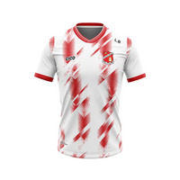 Drumree GAA Kid's White Training Jersey
