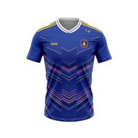 Currin LGFA playing jersey in royal blue with dark gold shoulder stripes, pink and gold chevron pattern and club crest - front - Cico Sports