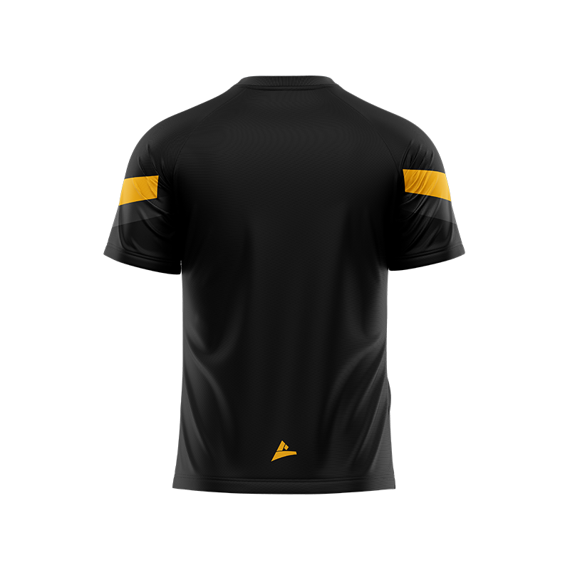 Dunshaughlin & Royal Gaels Kid's Leisure T-shirt