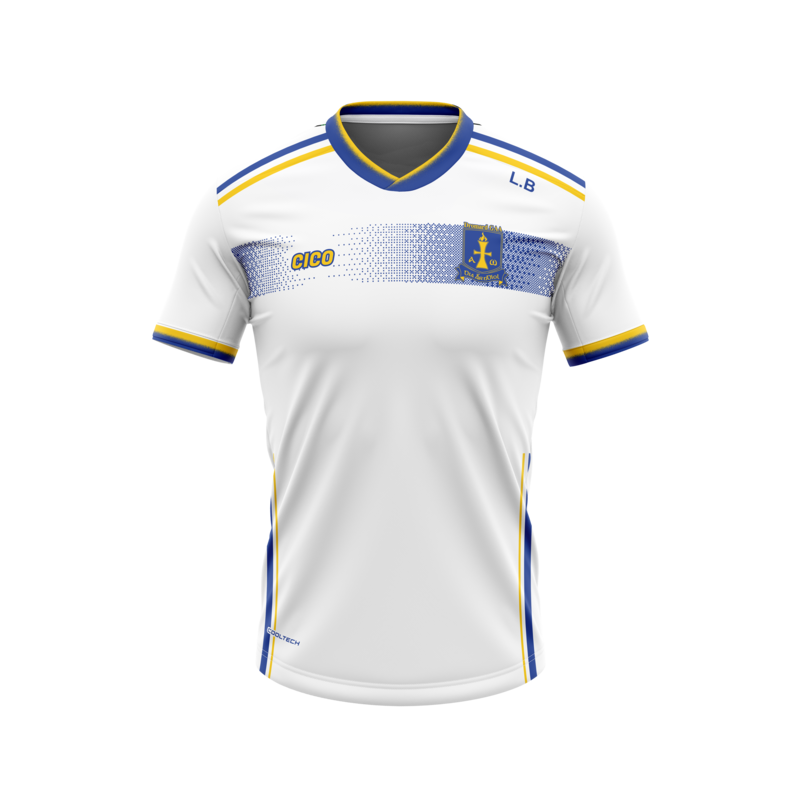 Dromard GAA White Training Jersey