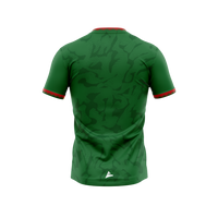 Kiltubrid GAA kid's green training jersey back
