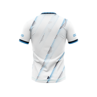 St Brigids GFC Kid's White Training Jersey - back