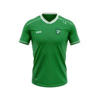 Moylagh GAA kid's green jersey with white V-neck trim and club crest - front