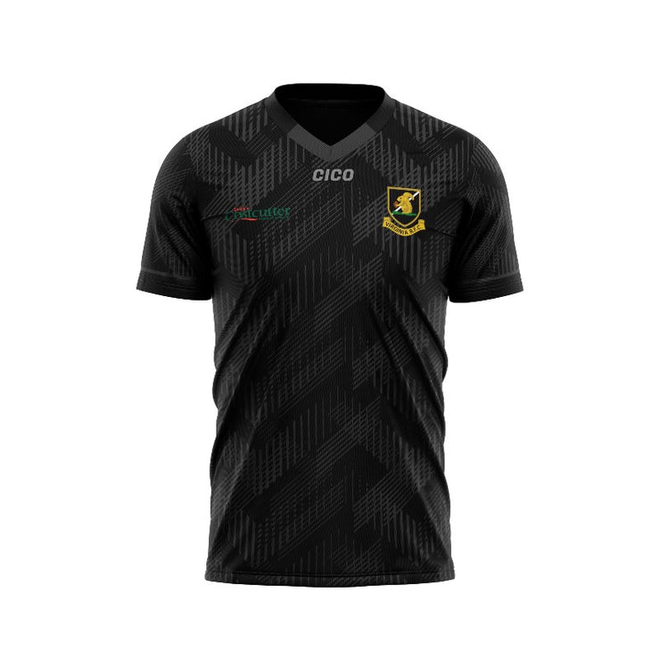 Virginia RFC Unisex Training Jersey