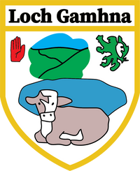 Loch Gowna GAA