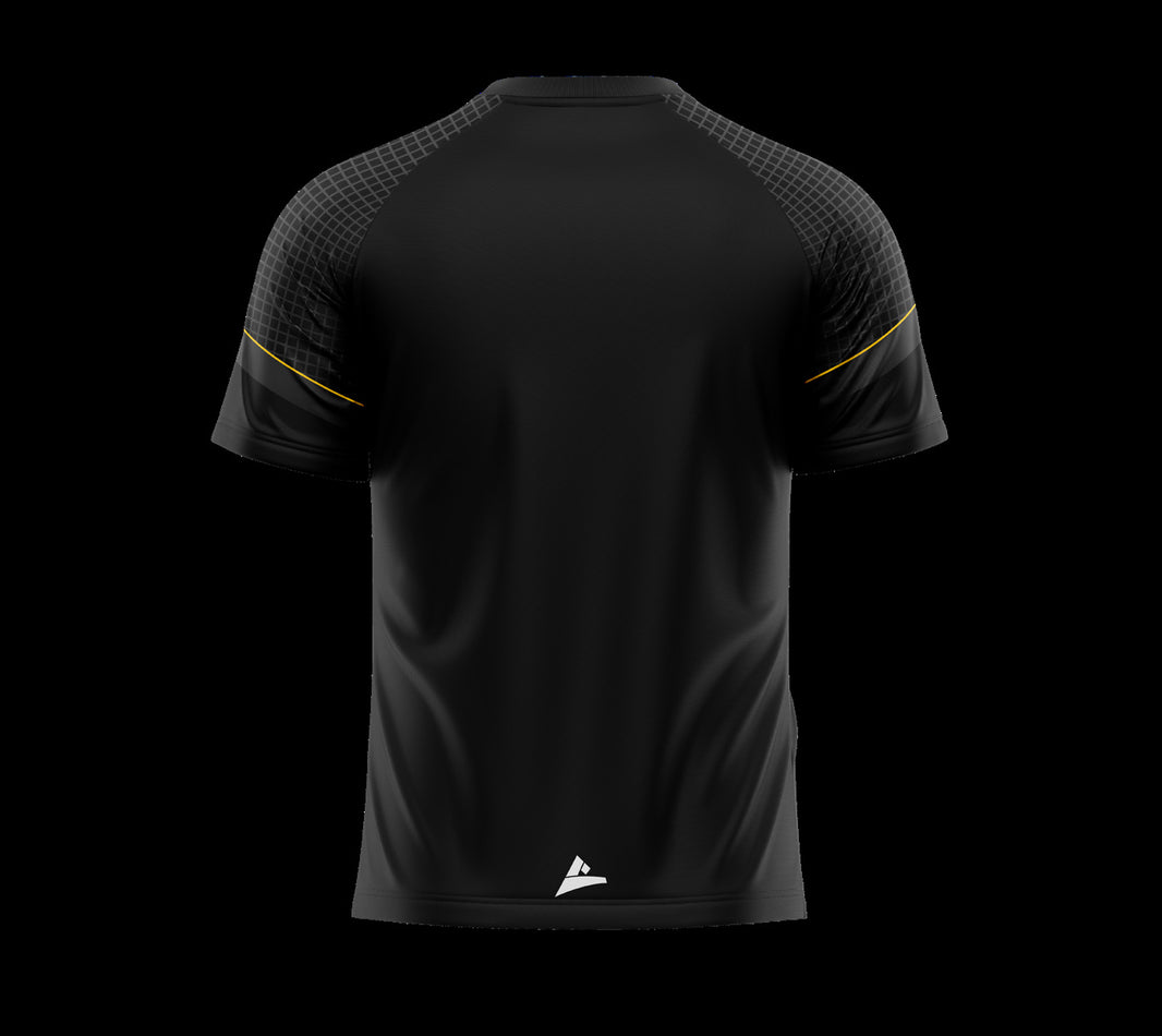 Nobber GAA & LGFA training tee - back