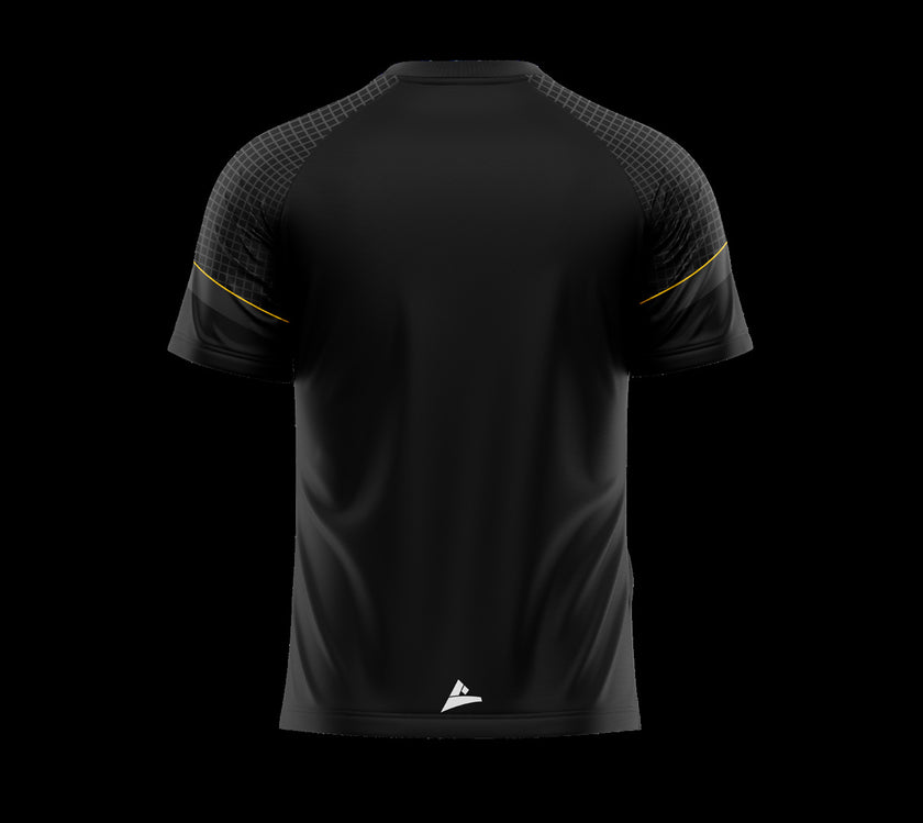 Nobber GAA & LGFA training tee - back